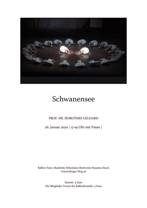 Schwanensee.jpeg