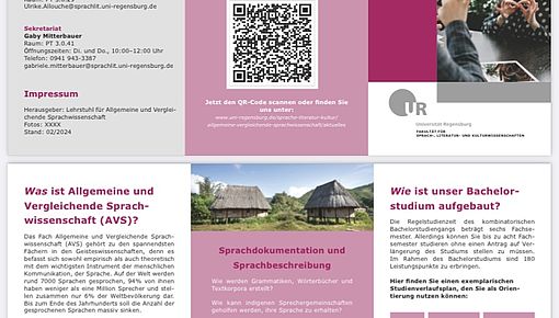 Flyer AVS