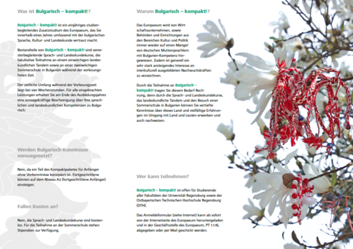 Bulgarisch Flyer 2