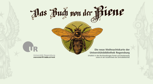 Zeichnung Biene