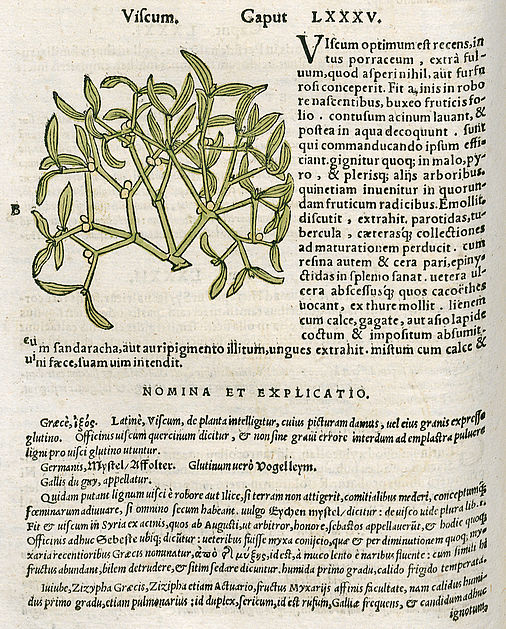 Pedanii Dioscoridis Anazarbei De Medicinali Materia