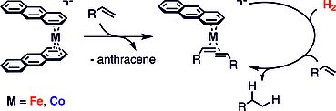 Hydrogenation