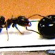 Bild04