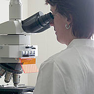 Prof. Dr. Susanne Grässel