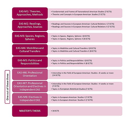 Grafik Module Kursaufteilung