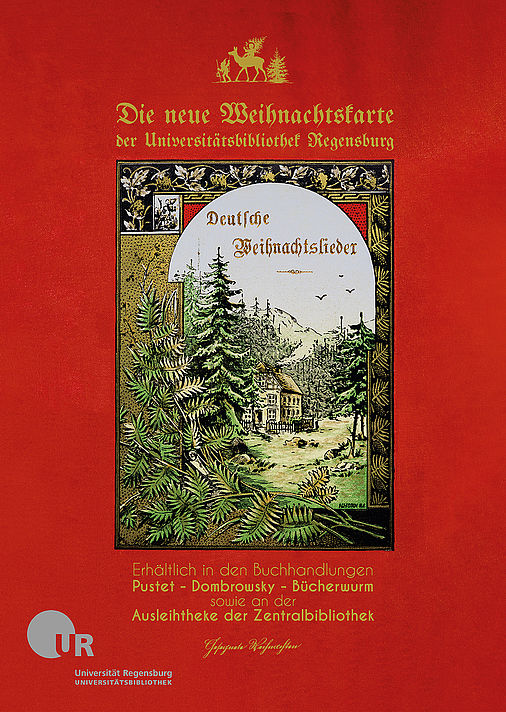 Buchtitel Haus im Wald, umrahmt von Nadelbäumchen