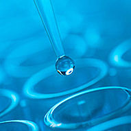 Biologie
