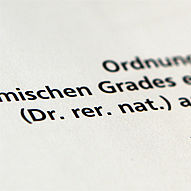 Illustrierender Ausschnitt aus einer Promotionsordnung