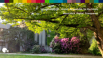 Bild mit Gebäude und Blumen