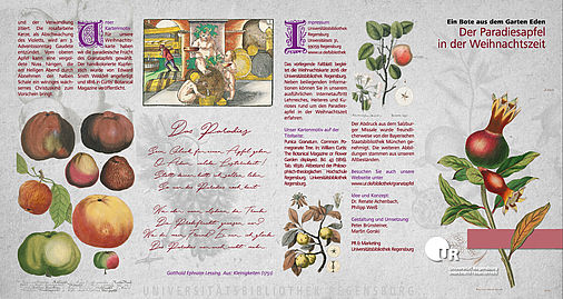Paradiesapfel in der Weihnachtszeit