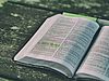 Bible-1868359 640