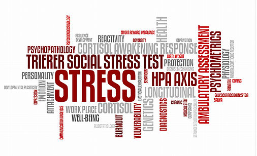 Word Cloud