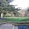 Img 4545