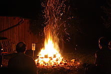 Img 3299