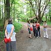Bild6