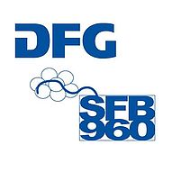 Logo Kombiniert