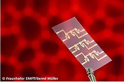 Emft Pinzette Rot Copyright