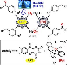 Fig2