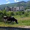 Img 20170518 104356