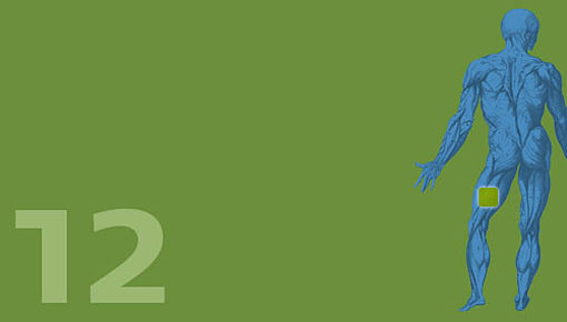 Uch T12