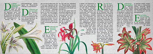 Faltblatt