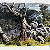 Ein verödeter Park