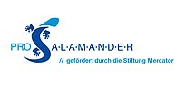 Salamander Logo