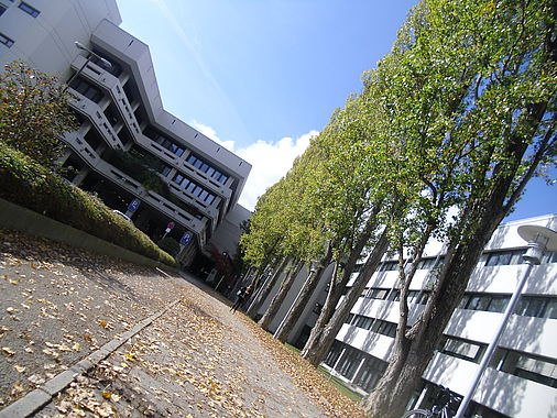Cimg0707