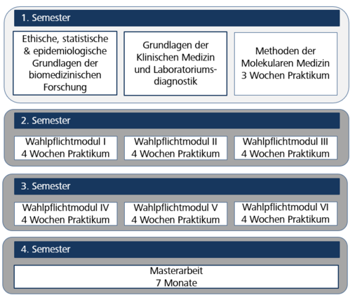 Grafik zum Aufbau des Studiums