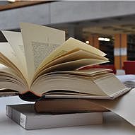 Studium