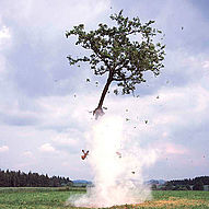 Column Tagungen