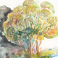 Beate Weywara, Baumaquarell 30.7.15