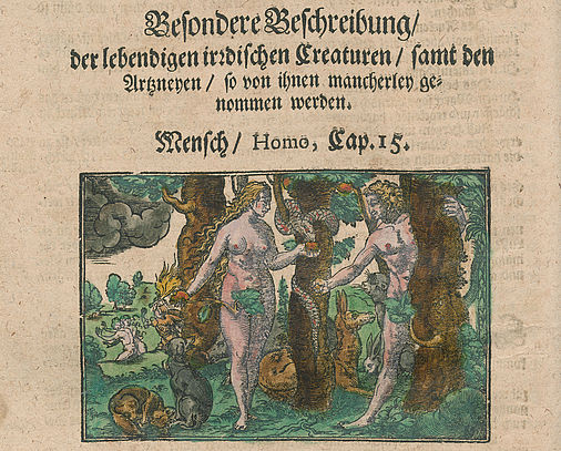 Der Sündenfall