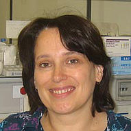 Petra Schitko