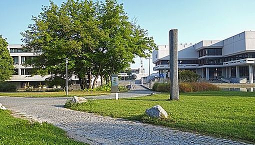 Ein Weg auf dem Uni-Campus