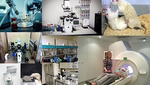 Collage Ausstattung