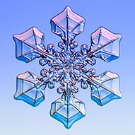 Dendritische Formen von Schneekristallen