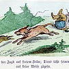 Petermann11