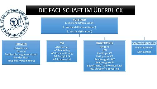 Fs-struktur