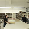 Die Teilnehmenden der Exkursion im Herbarium