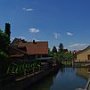 Imgp6593