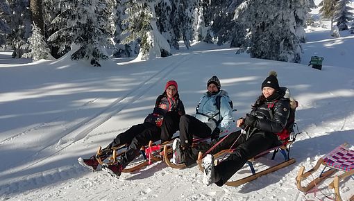 Bavarianforestwolfgroup2019 4