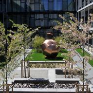 Bio Neubau 03