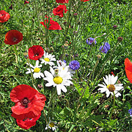 Bild06