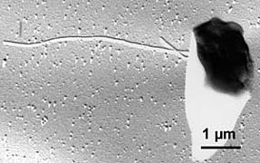 Ferrogl-pt-m-w