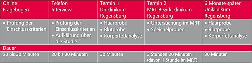 Ablauf Burnout