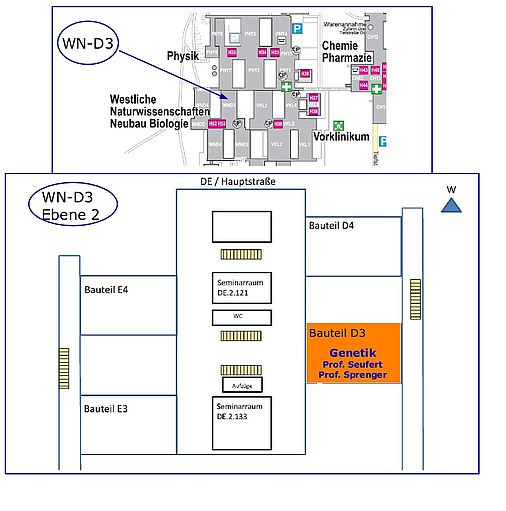 Genetik-lageplan-02