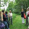 Bild11