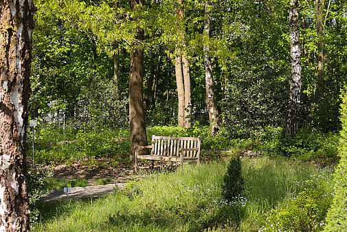 Im Botanischen Garten der UR. Foto: Annika Graf / Universität Regensburg
