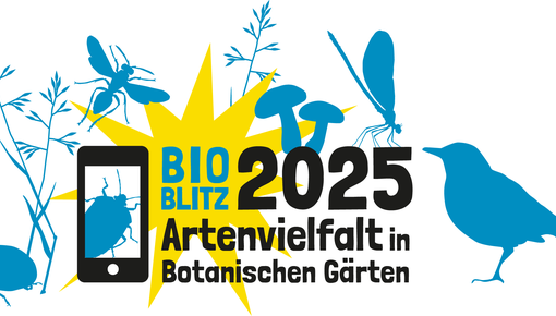 BioBlitz 2025